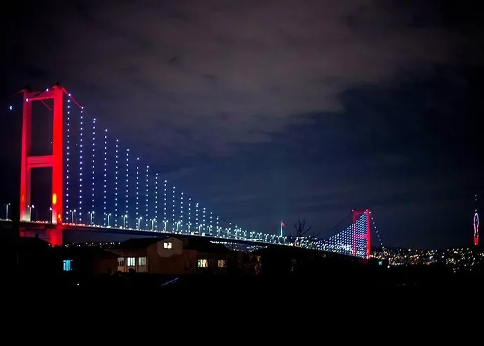 Aesthetic Penthouse With The Bosphorus Bridge View